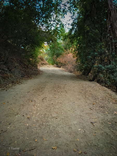 Initial ascent - road is quite steep