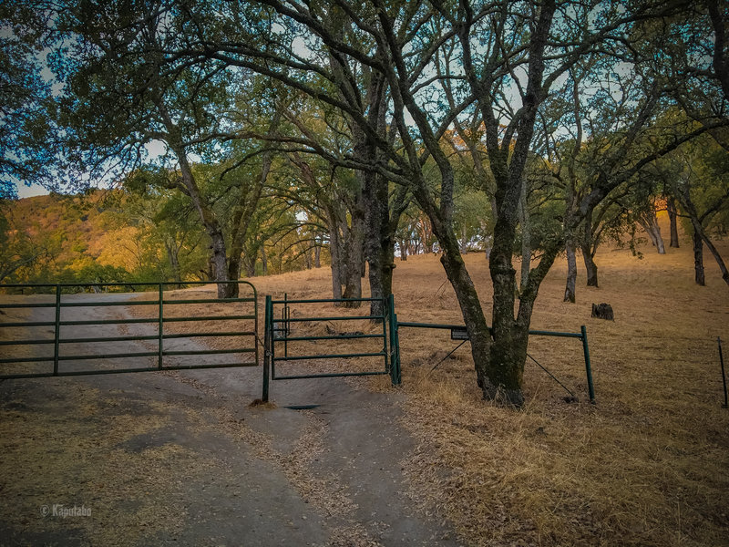 First and only gate on the trail - 0.4 miles from start