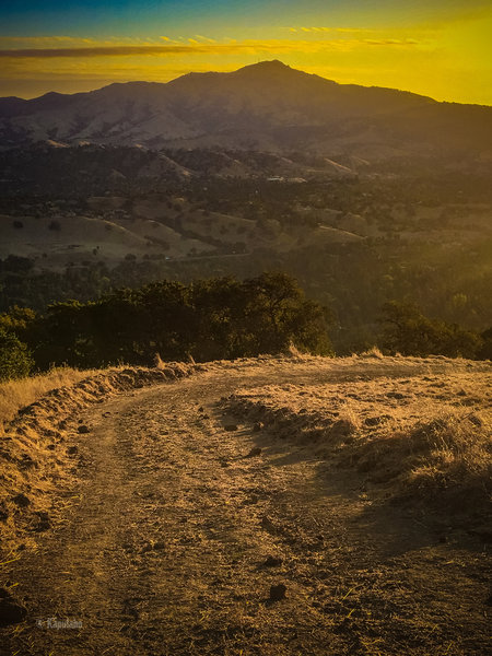 Last View of Mt Diablo before heading into the trees