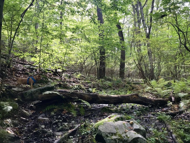 James taking a break on Long Path: Section 6