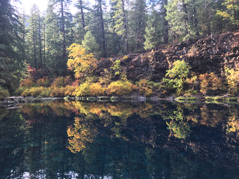 Fall Reflection