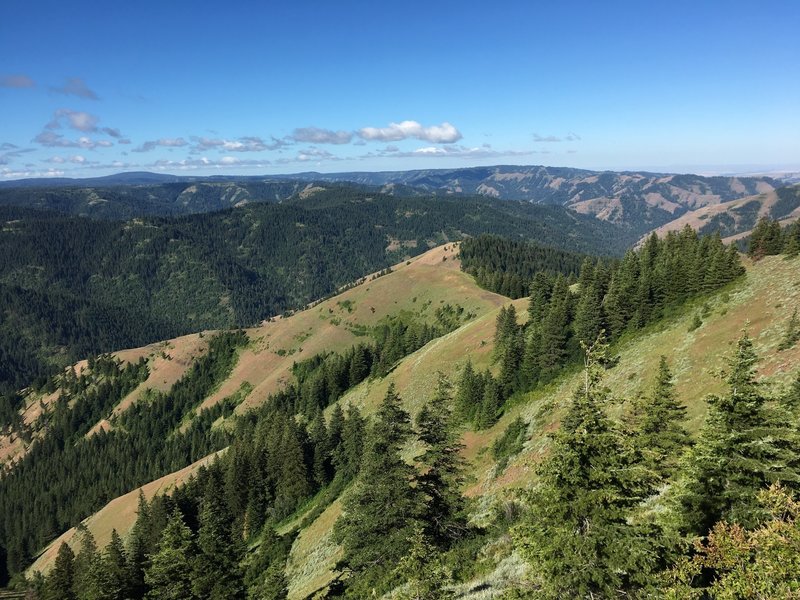 View from the upper trail of Coyote Ridge looking SW