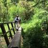 Bridge at Coyote Creek