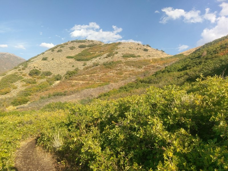 Looping up the slopes of Red Potato Hill