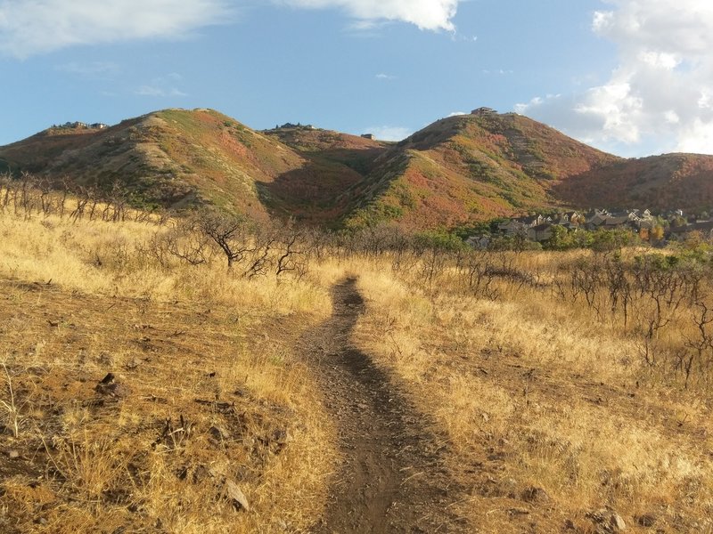 Cresting Potato Hill