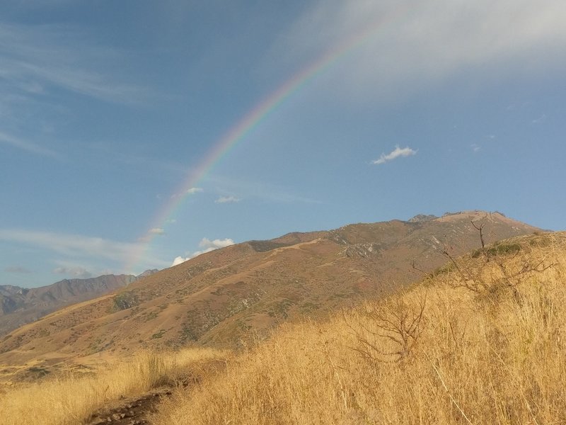 From Red Potato Hill Trail looking NE.