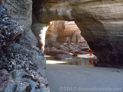 Entrance to the Devils Punchbowl at low tide