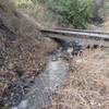 Creek crossing along the Burnham Loop Trail