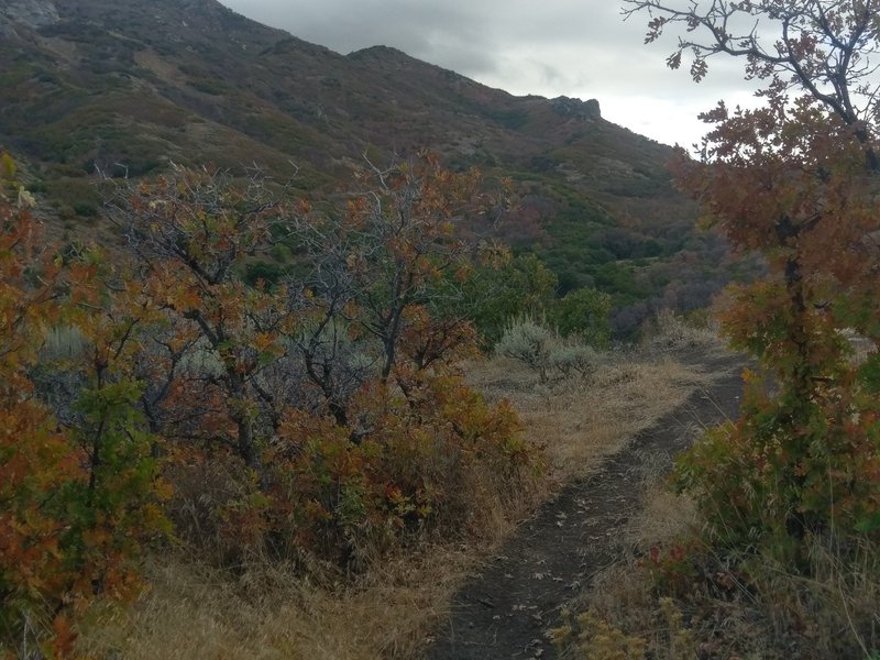 Looking east towards the Ghost Falls area