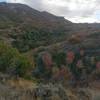 Fall colors in the canyon