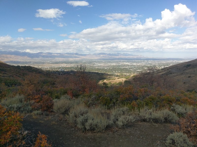 Views down valley from the Hoof N Boot Trail