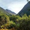 Looking up the valley on Victor Creek Trail