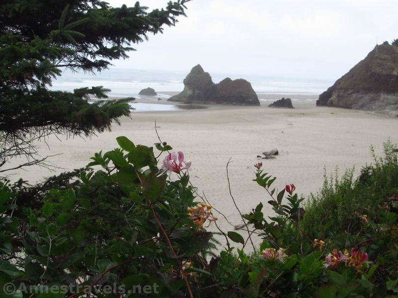 Lion Rock and Humbug Point from the Arcadia Beach Parking Area