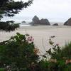 Lion Rock and Humbug Point from the Arcadia Beach Parking Area