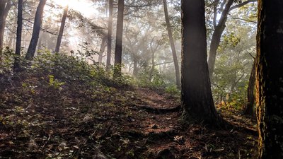 Morning rays break through the fog in the Delaware Water Gap National Recreation Area