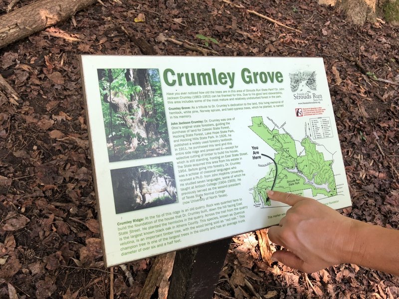 Crumley Grove Sign