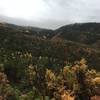 View from Dry Lake Spring Trail