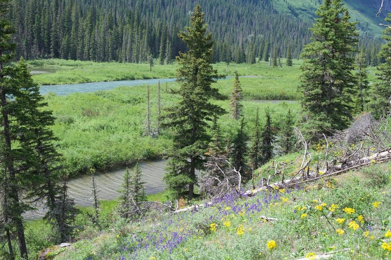 The Saint Mary River runs below the trail.  Depending on the time of day, you might see a moose around here.