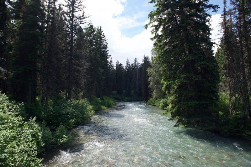 The Reynolds River flowing quickly at the end of June thanks to the snowmelt from the surrounding hills.