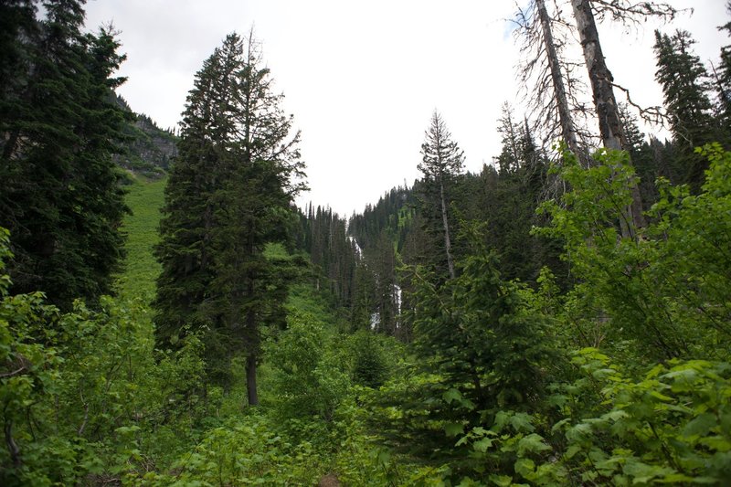 As you approach the falls, you hear them first and then start to catch glimpses through the vegetation.