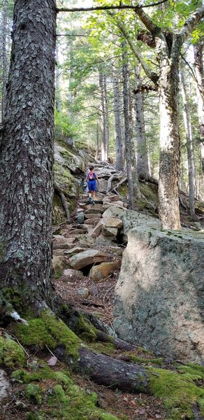 Goat trail to the summit