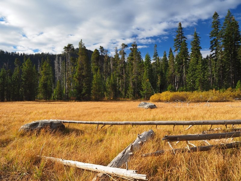 The large meadow along the road