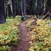 More Fall colors along the trail