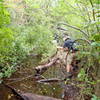 Crossing the easy part of north section of Terrace Pond Circluar