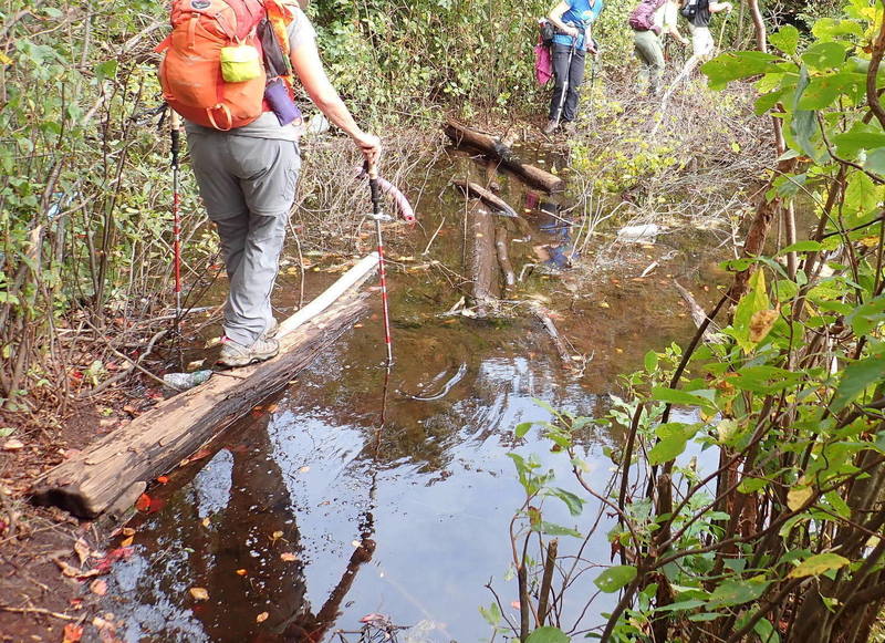 Carefully crossing Terrace Pond outflow on logs