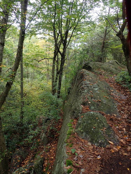 Example of Bearfort Ridge geology - rock layers are tilted in spots 90 degrees requiring hands and knees to traverse.