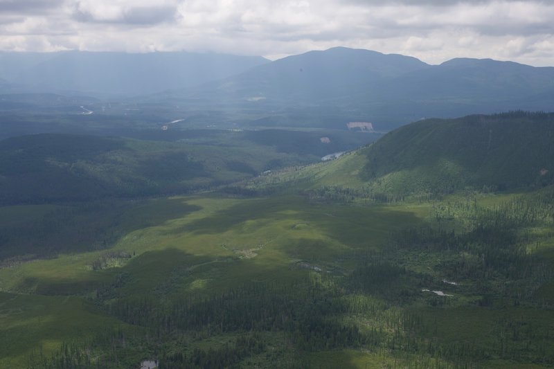 A view of the forest below. The views are great and panoramic from the upper parts of the trail.