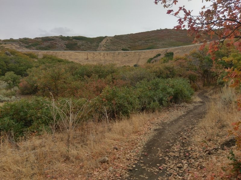 Looking east along the Little Valley Loop Trail