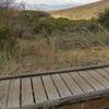 One of two small footbridges on Little Valley C Line trail