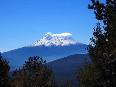 Mount Shasta from along the Goosenest Trail