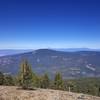Mount McLoughlin (far horizon) from Goosenest's summit