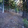 Start of the Goosenest Trail