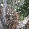 steep rocky trail