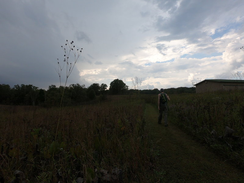 Hiking through the prairie.