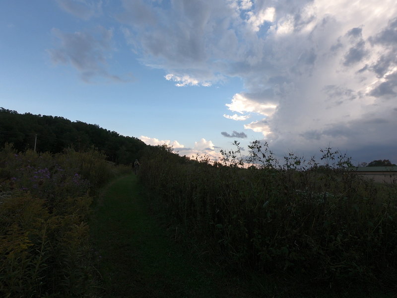 The entrance to the prairie and the Hawk Hill Loop.