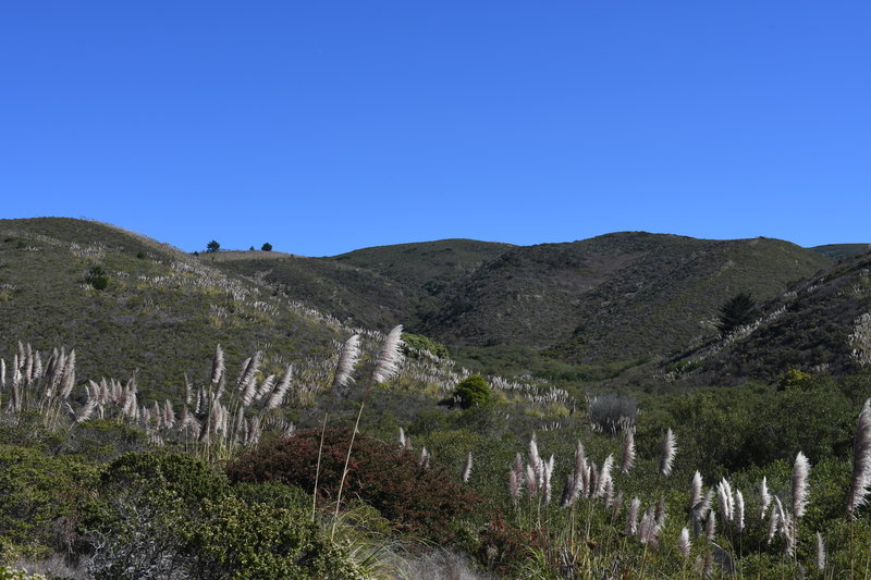 From the beginning of the trail, you can look uphill to see where the trail leads you. As you can tell, there isn't a lot of shade.