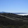 Views of Half Moon Bay and the Pacific Ocean spread out below you.