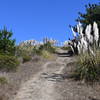 While the trail does flatten out at the top, there is quite a climb to get there. Like most trails in the park, you get a good view of the ocean if you turn around.