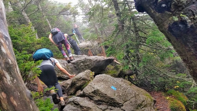 A technical section going up the Halfway House trail. Notice the blue trail markings.