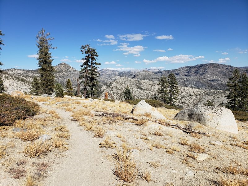 Up on moraine ridge, straight north of Lake Vernon