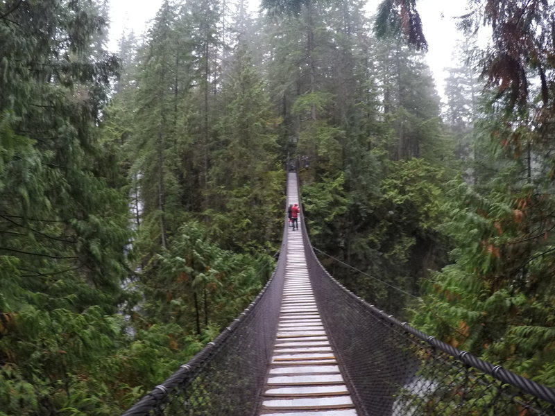 The Lynn Canyon Suspension Bridge.