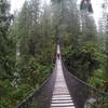 The Lynn Canyon Suspension Bridge.