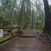 The boardwalk after the bridge.