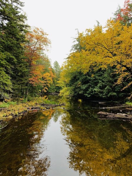 Fish Creek from Bridge