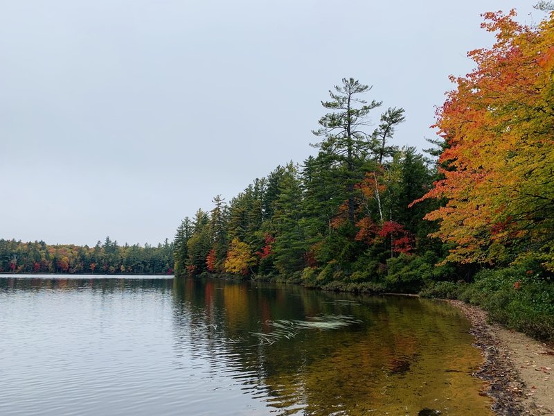 Floodwood Pond from the South