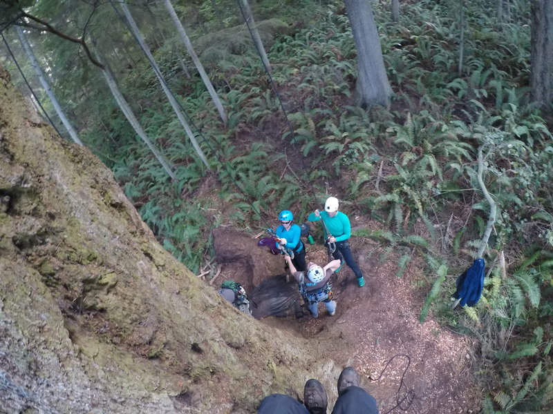 About 15 feet off the ground, looking down.